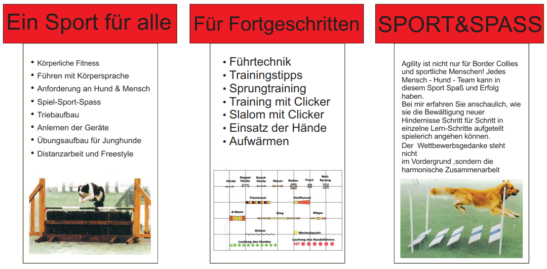 weitere Punkte der Hundeagility
